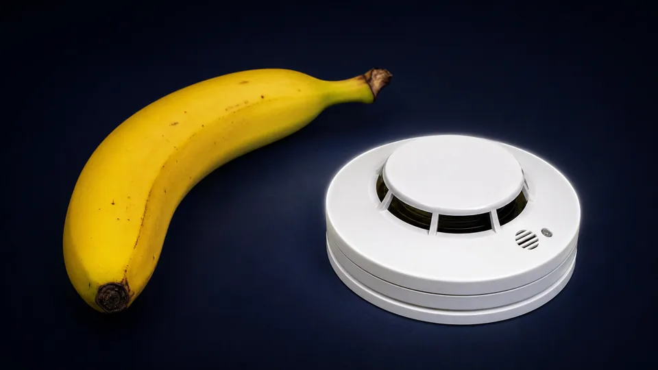 A banana, used as a unit of background radiation